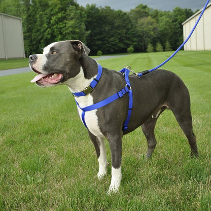 Puppy Harness
